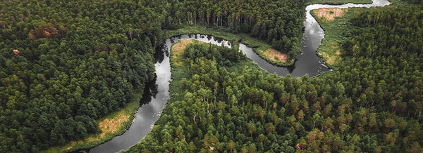 02-Blog-Amazonia-01