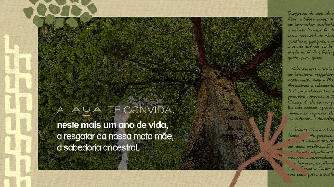 ESTUDO_KV-ORIGENS_AUA-V2