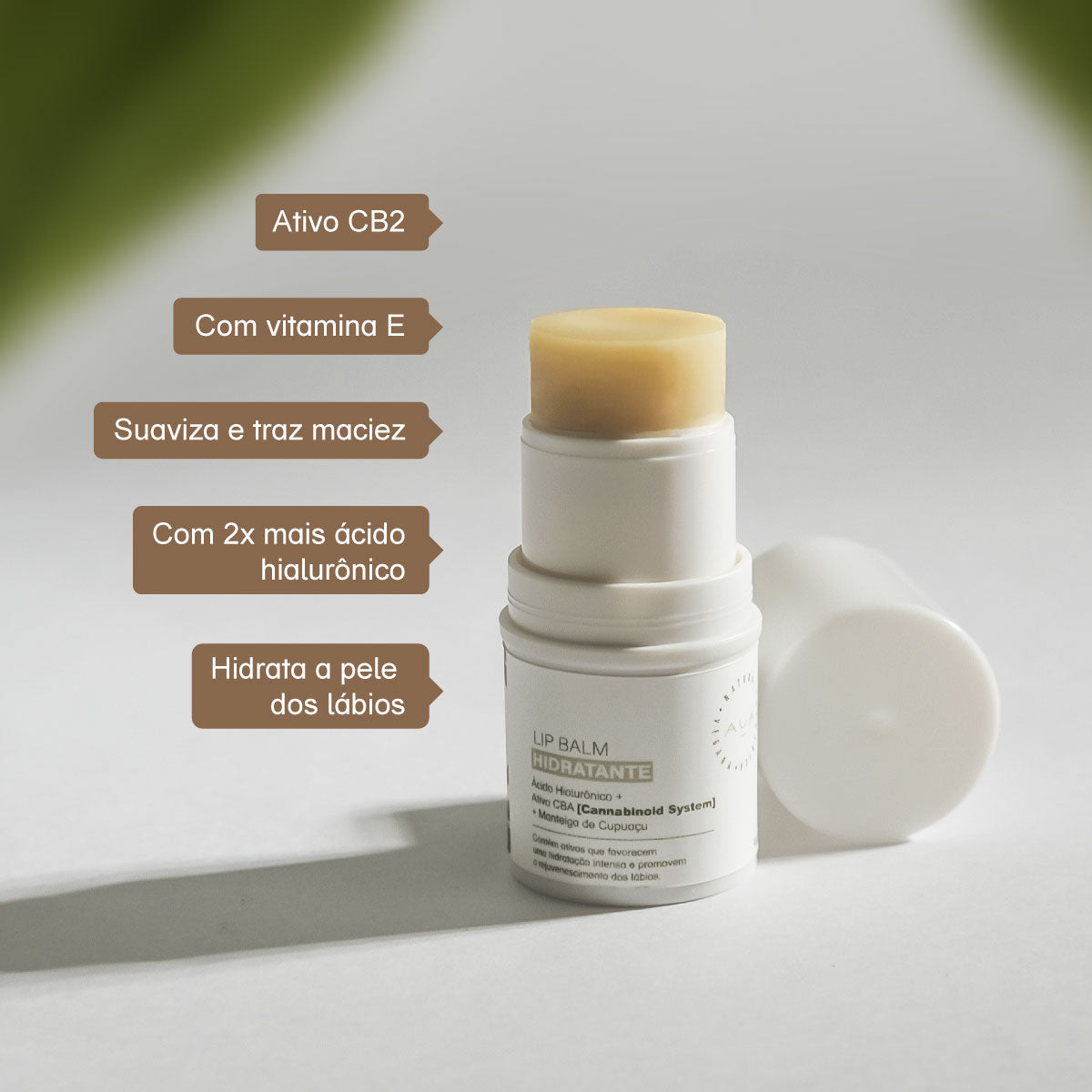 Kit Duo Hidratante Antioxidante Lip Balm